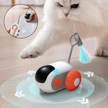 Crazy-Joy Car Adventure Toy for Curious Cats