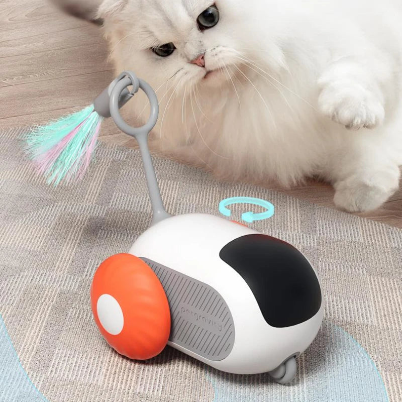 Crazy-Joy Car Adventure Toy for Curious Cats